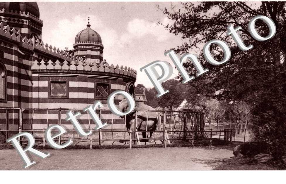 Elefantenhaus, Westfalischer Zoologischer Garten