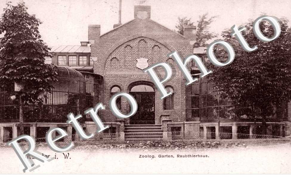 Zoolog. Garten Raubthierhaus