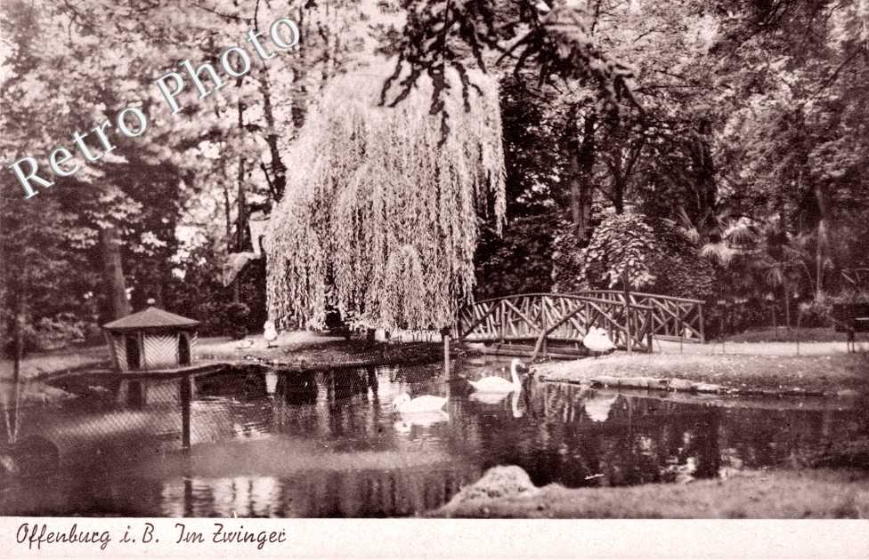 partie im Zwinger