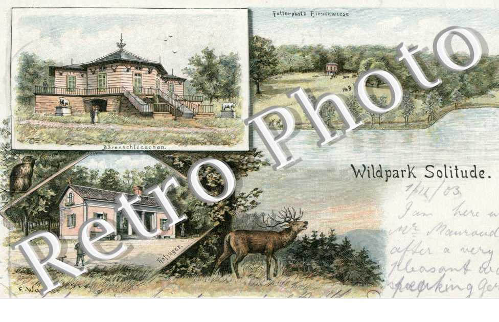 Wildpark Solitude
