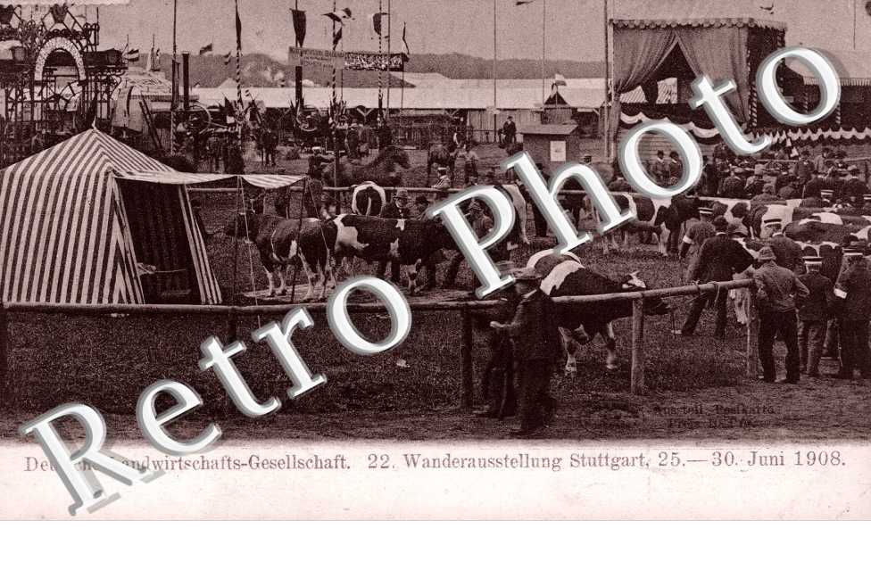 Deutsche Landwirtschafts Gesellschaft Juni 1908