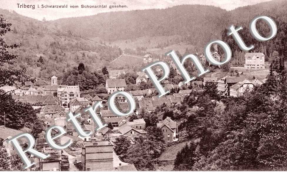 Im Schwarzwald vom Schonachtal gesehen