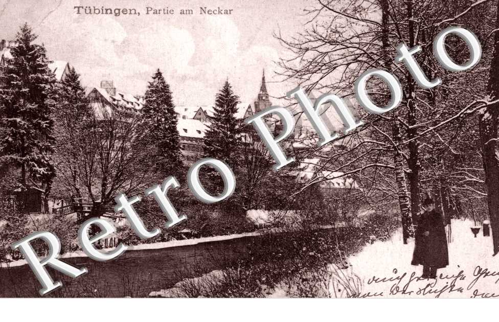 Partie am Neckar