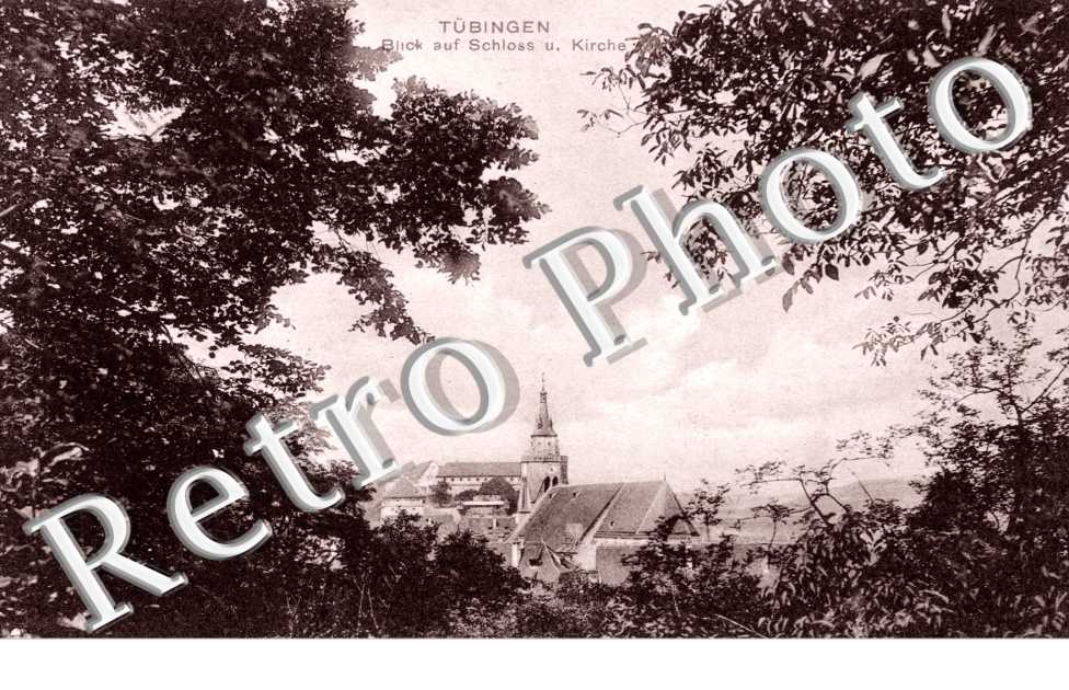 blick auf Schloss u. Kirche