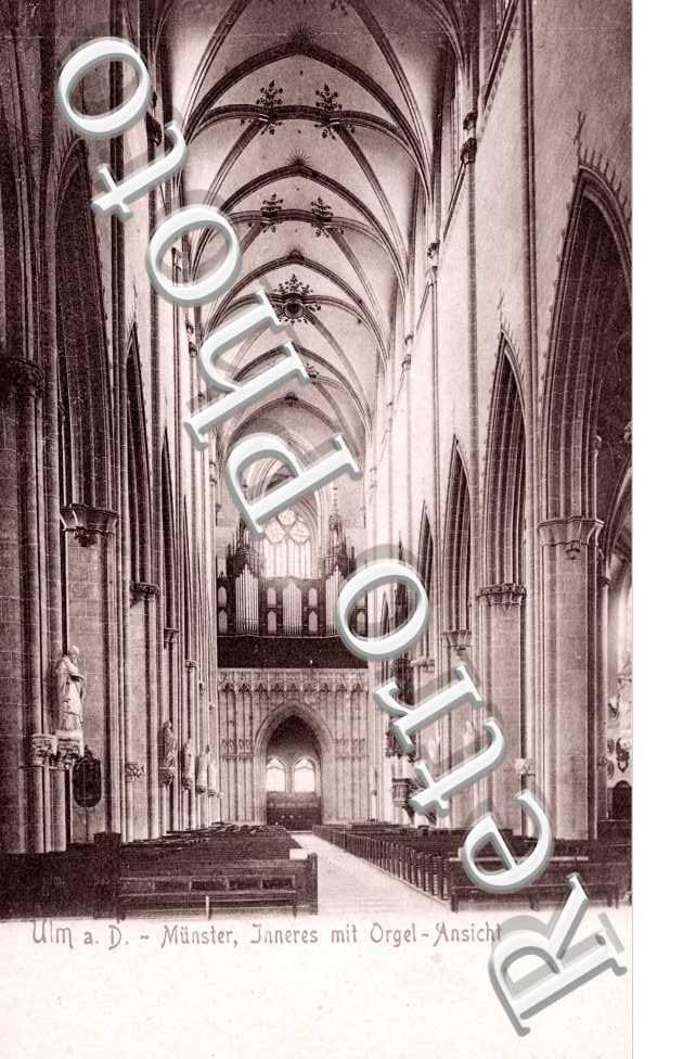 Munster