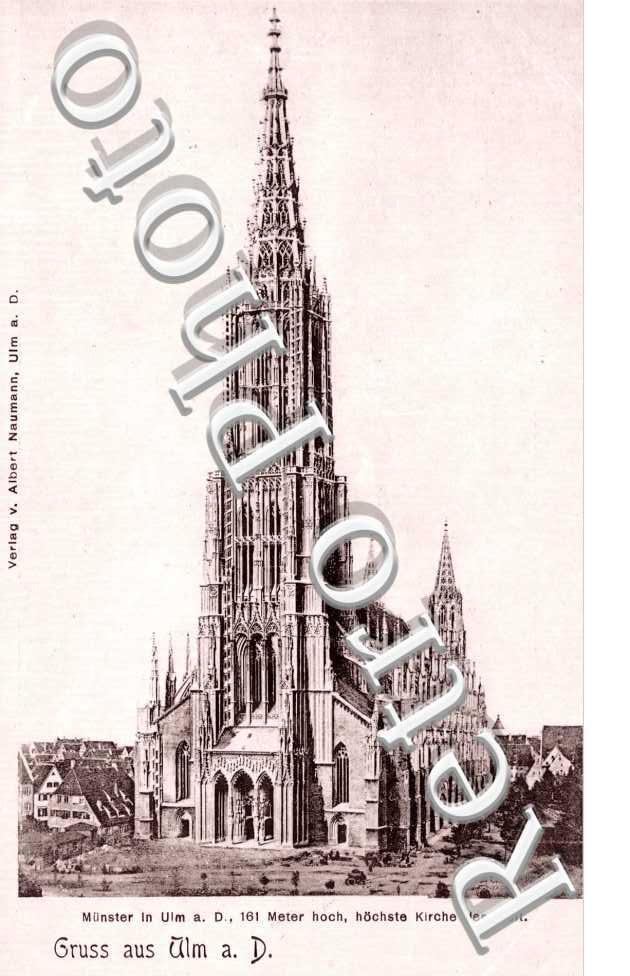 Munster