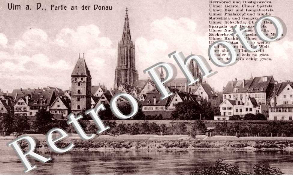Partie an der Donau