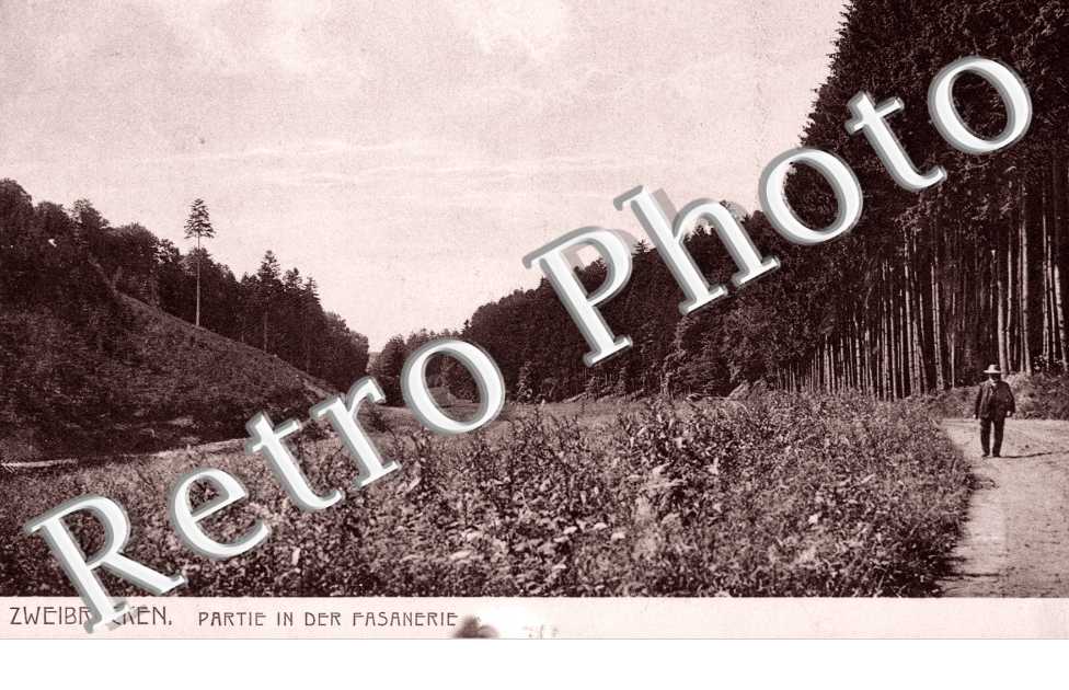 partie in der Fasanerie