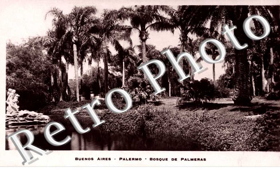 palermo - bosque de palmeras
