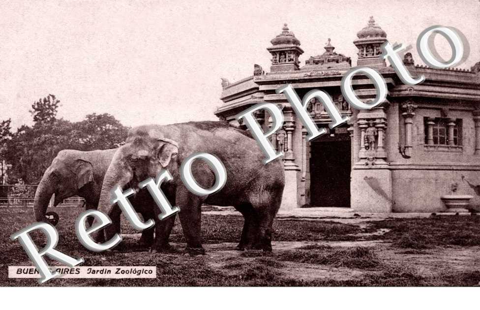 Jardin Zoologico