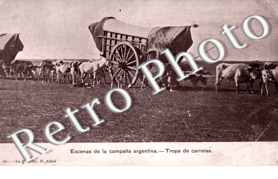 Tropa de carretas