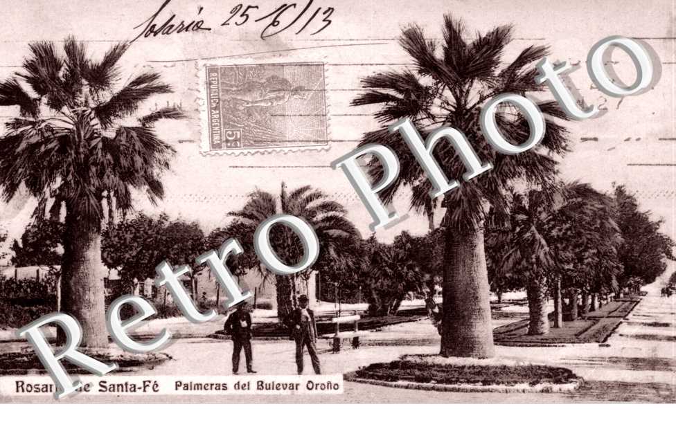 Palmeras del Bulevar Orono