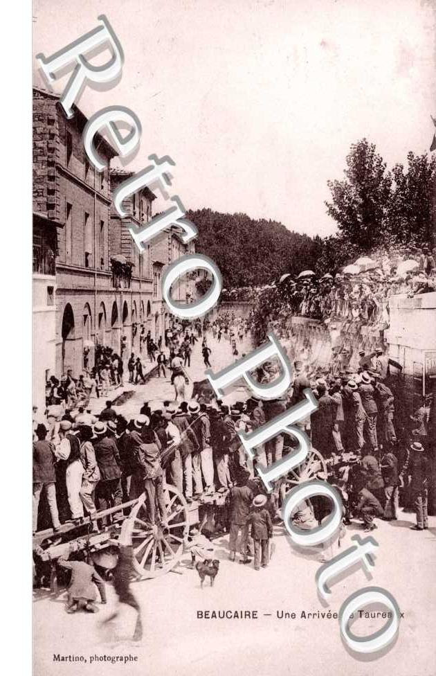 une arrivee de taureaux