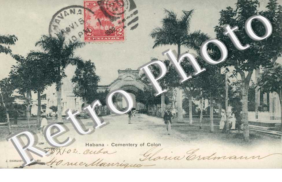 Cementery of Colon