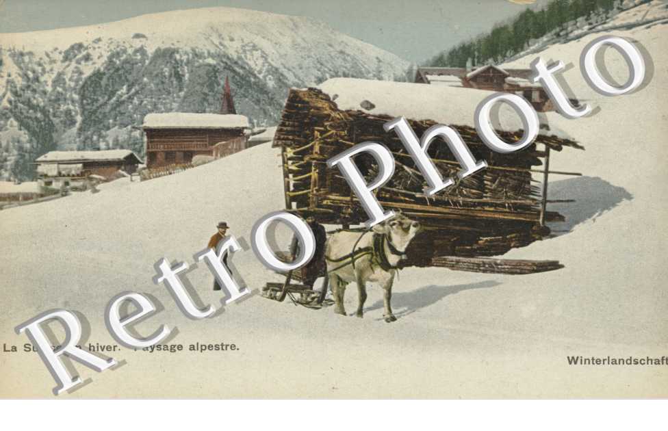 La suisse en hiver - paysage Alpestre