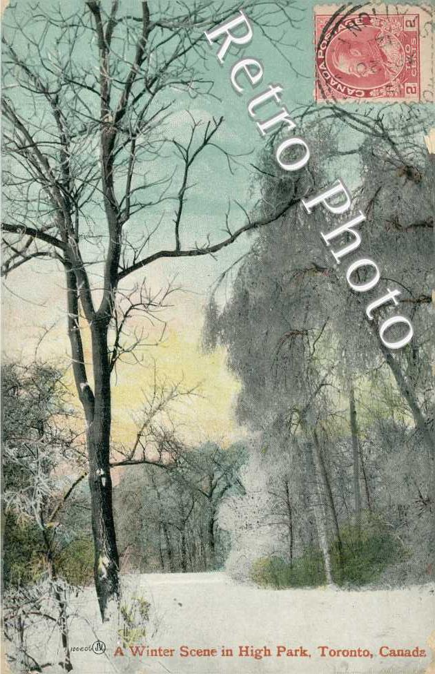 A winter scene in High Park