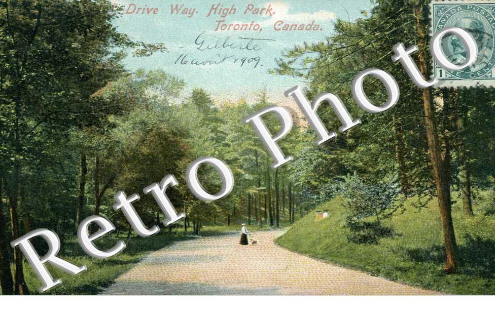 High Park - drive way