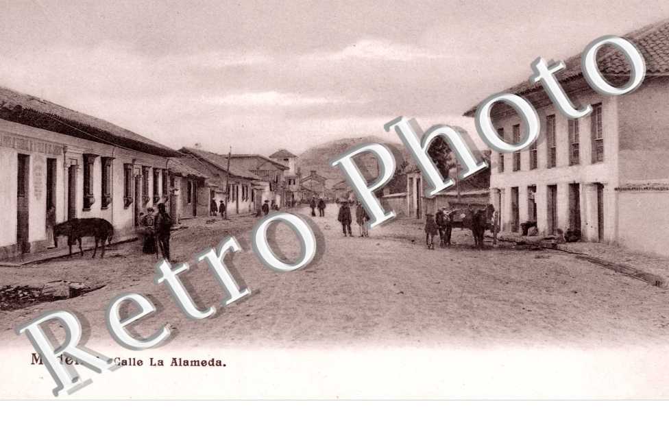 Calle La Alameda
