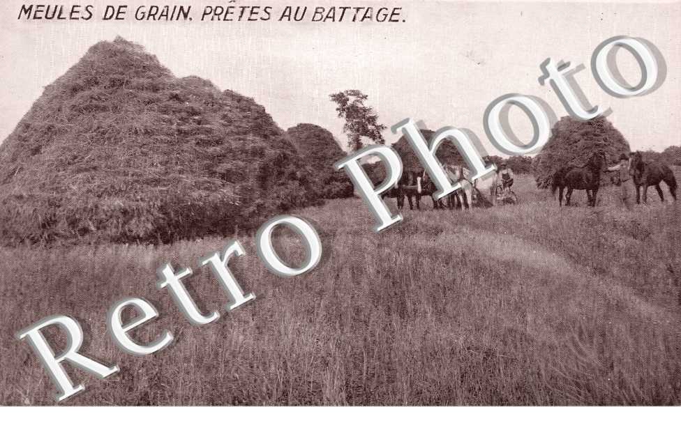 Meules de Grain pretes au Battage