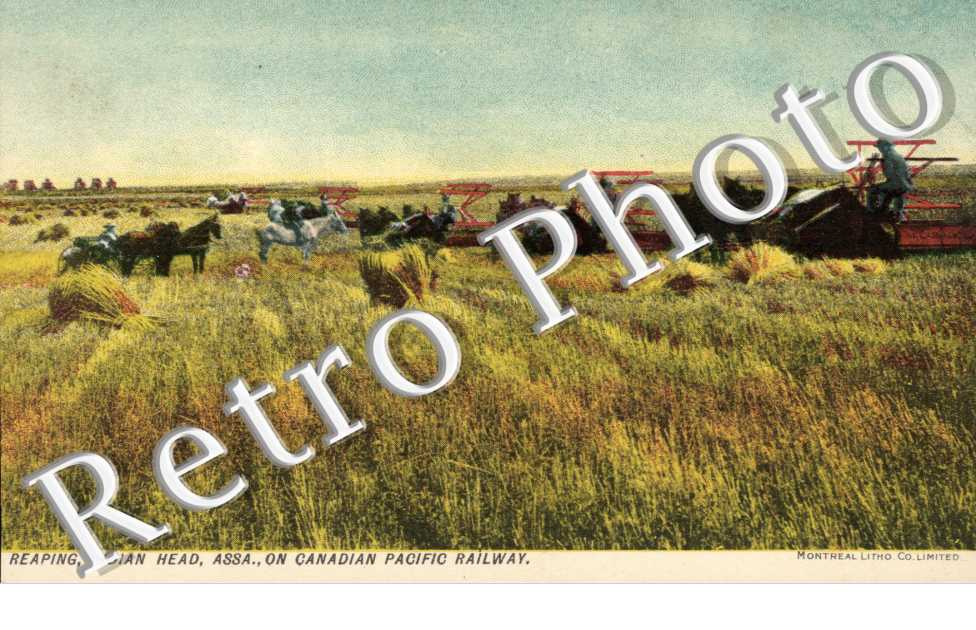 Reaping , Indian Heas Ass. on Canadian Pacific Railway