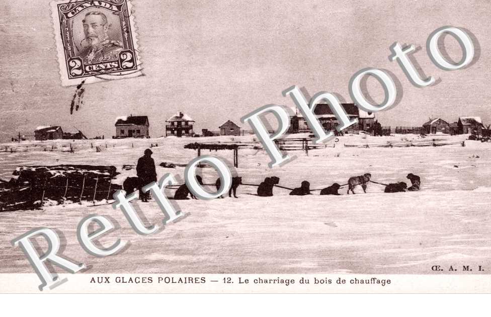 Charriage du bois de chauffage, aux glaces polaires