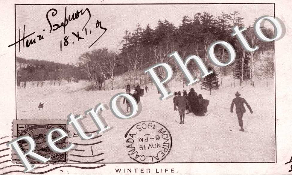 Winter Life