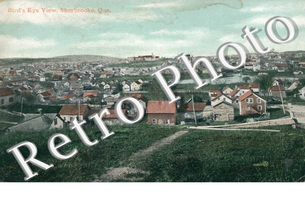 Bird&#039;s eye view
