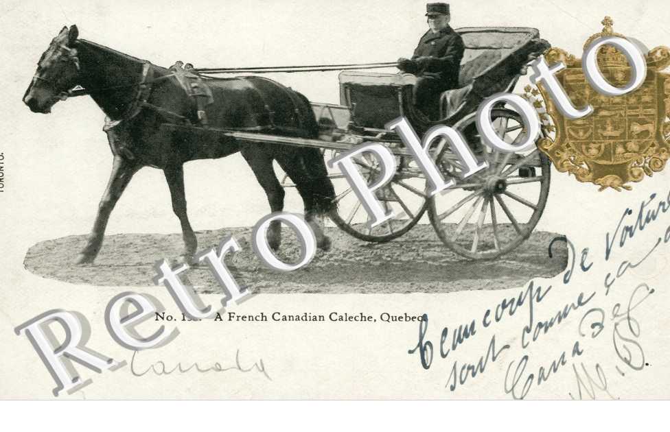 a french canadian caleche