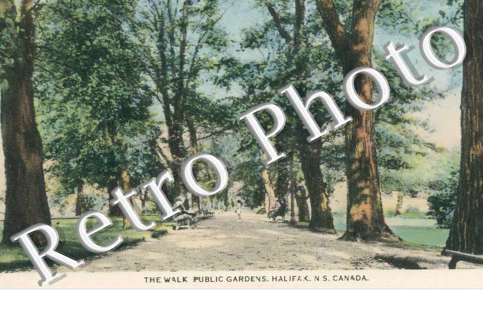 The Walk Public Gardens