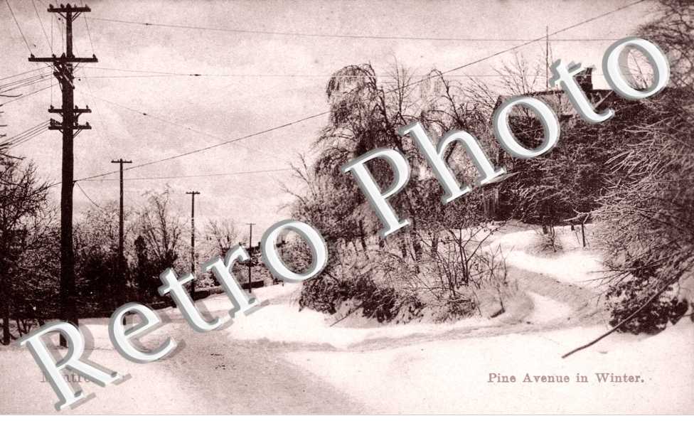 Pine Avenue in Winter