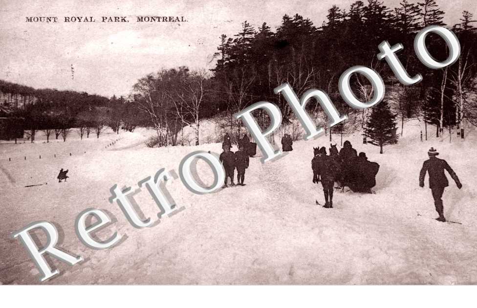 Mount Royal park