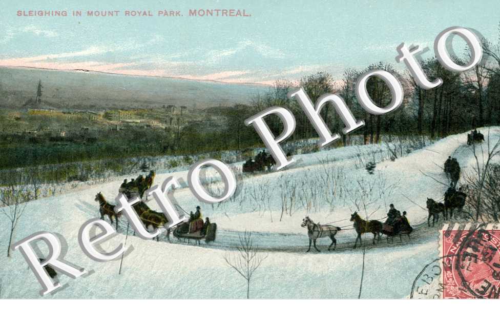 Sleighing in Mount Royal park