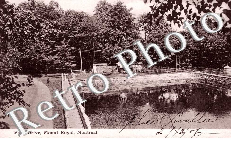 park Drive