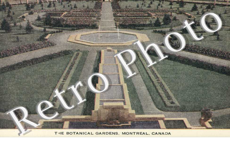 Botanical garden