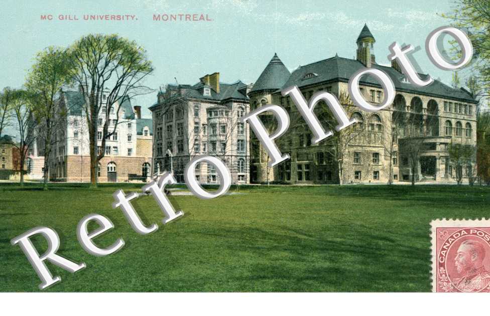 View of McGill University