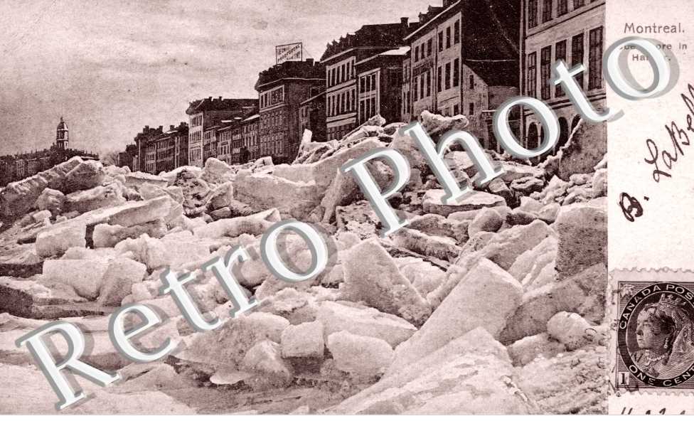 Jce Shore in harbor.