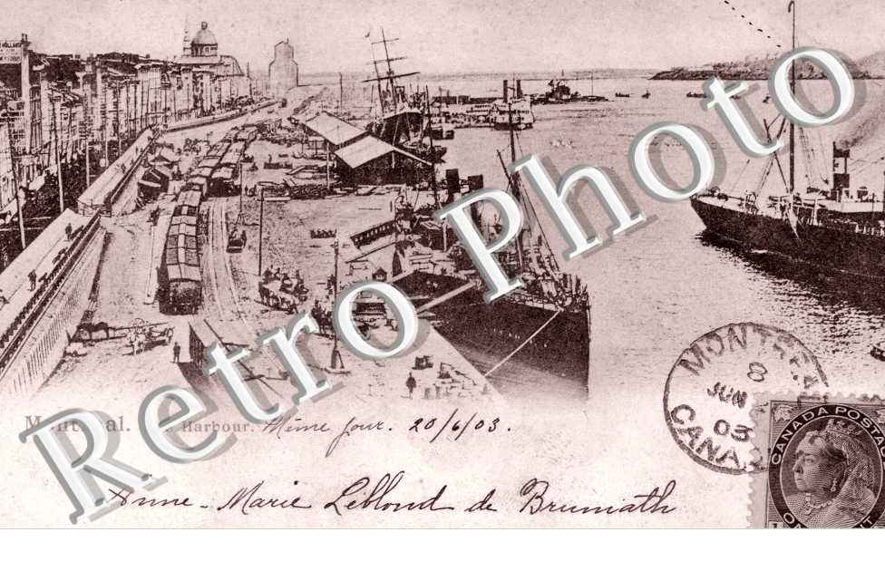 the Harbour