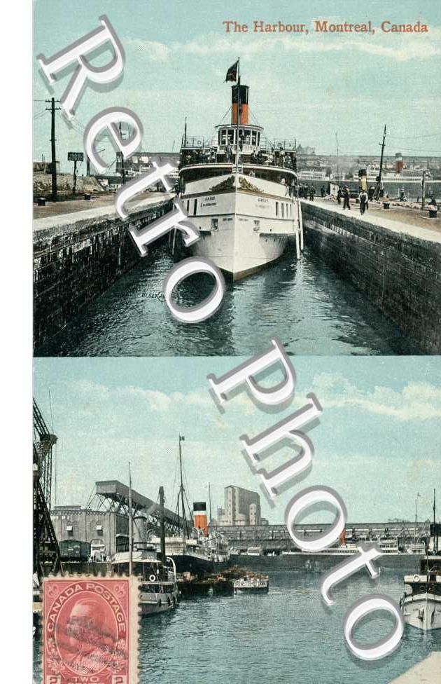 The Harbour