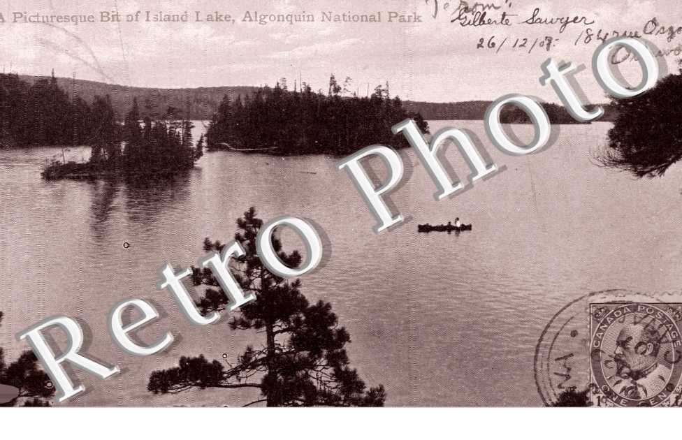 Algonquin national park