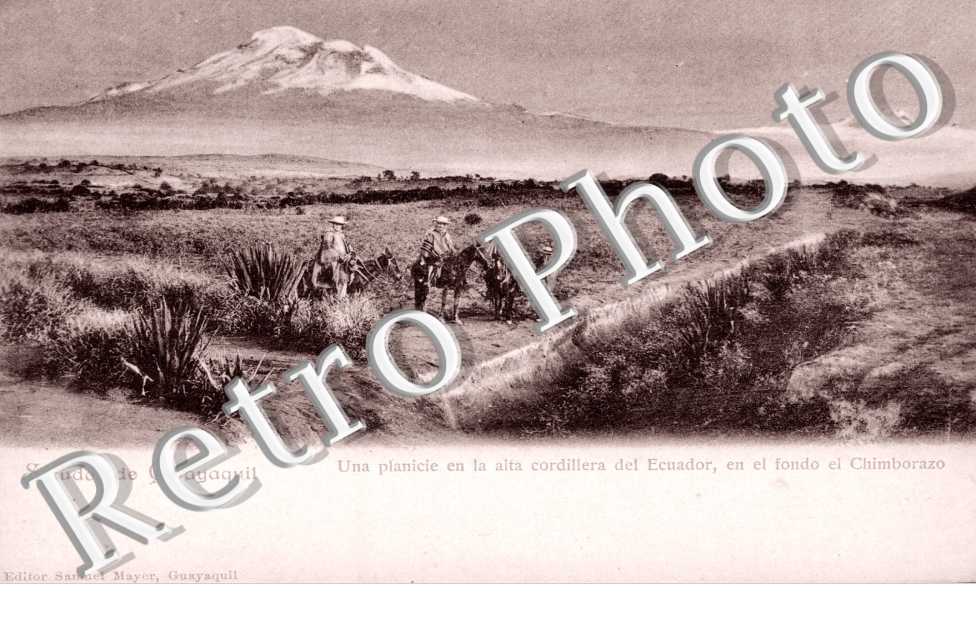 Una planicie en la alta cordillera del Ecuador - el Chimborazo