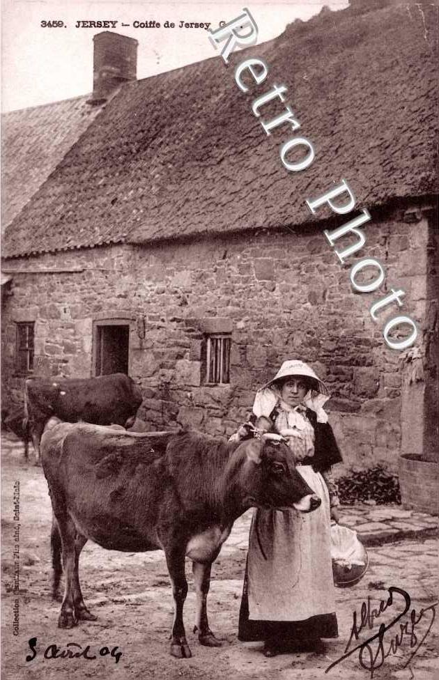 Coiffe de Jersey