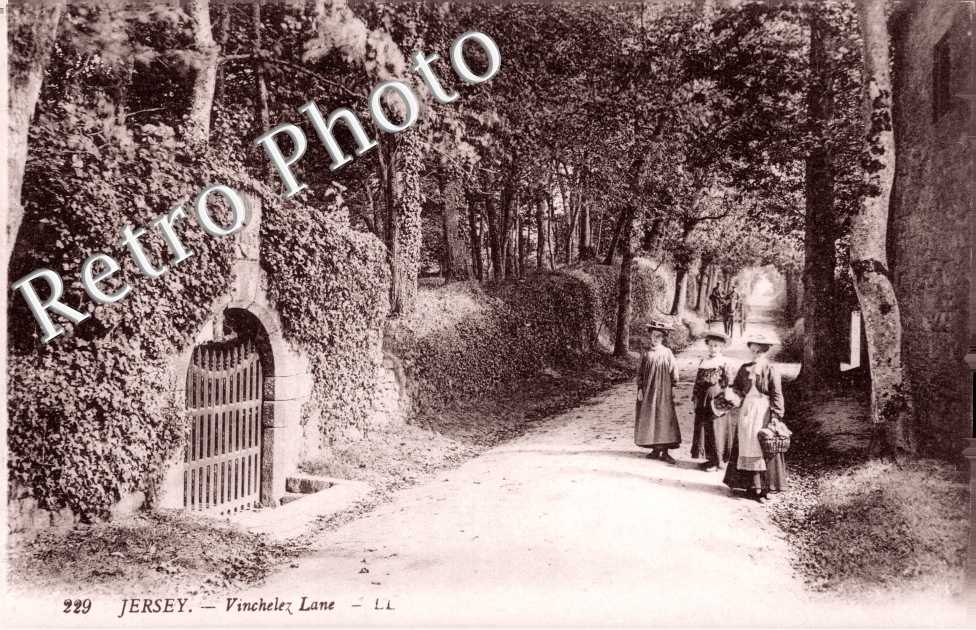 Vinchelez lane