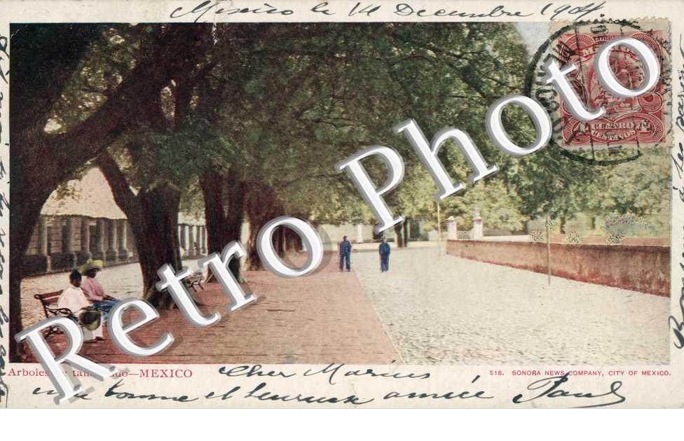 Arboles de Tamarindo