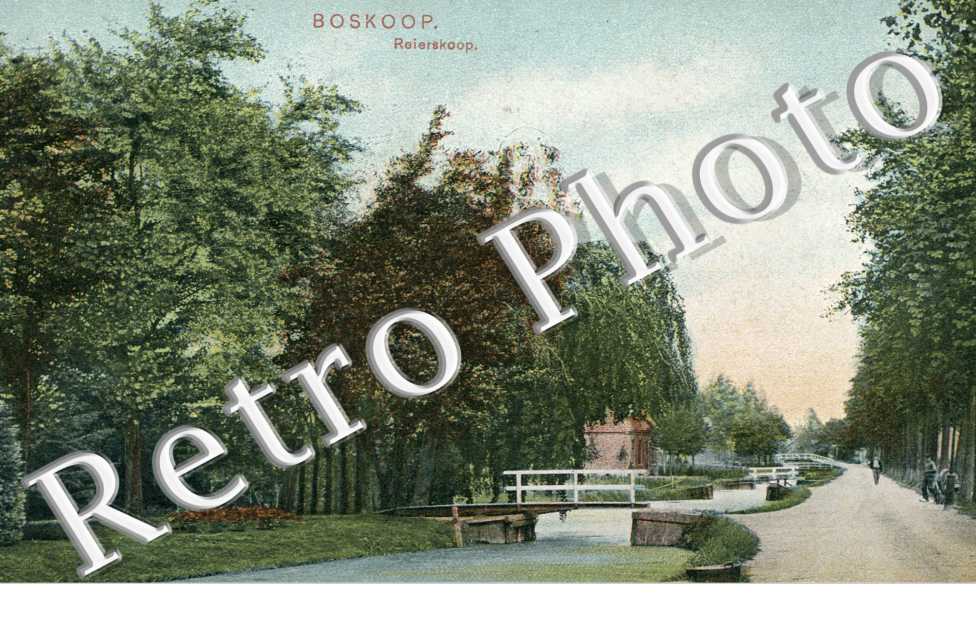 reierskoop