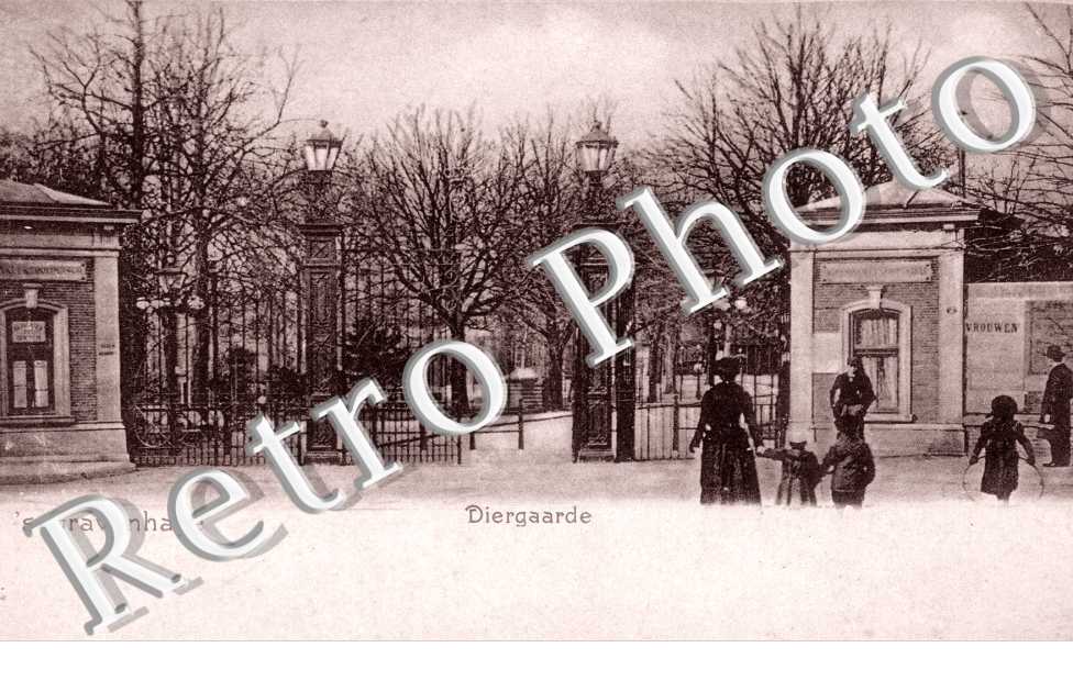 Diergaarde. Zoo