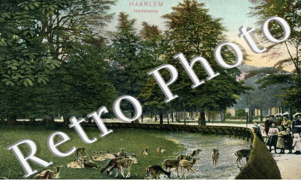 Hertekamp
