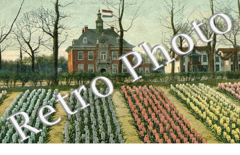 Platation de fleurs et Villas