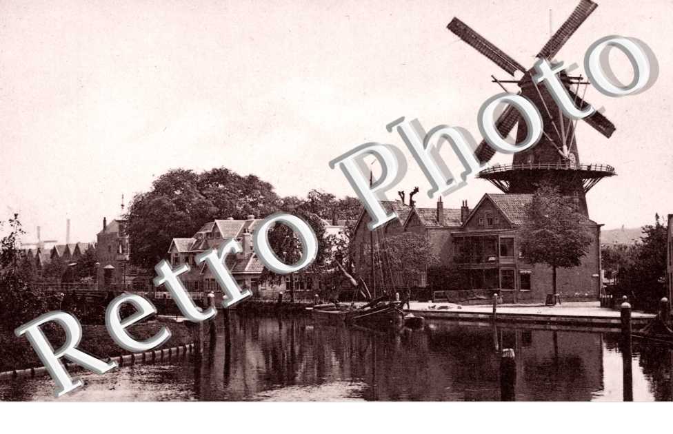 molen de maagd. moulin la vierge