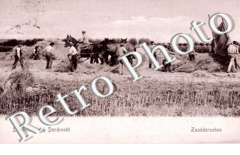 zaaddorschen