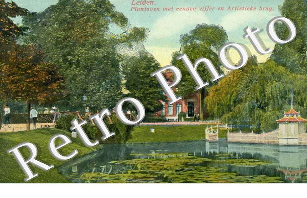 plantsoen met Eenden vifer en Artistieke brug
